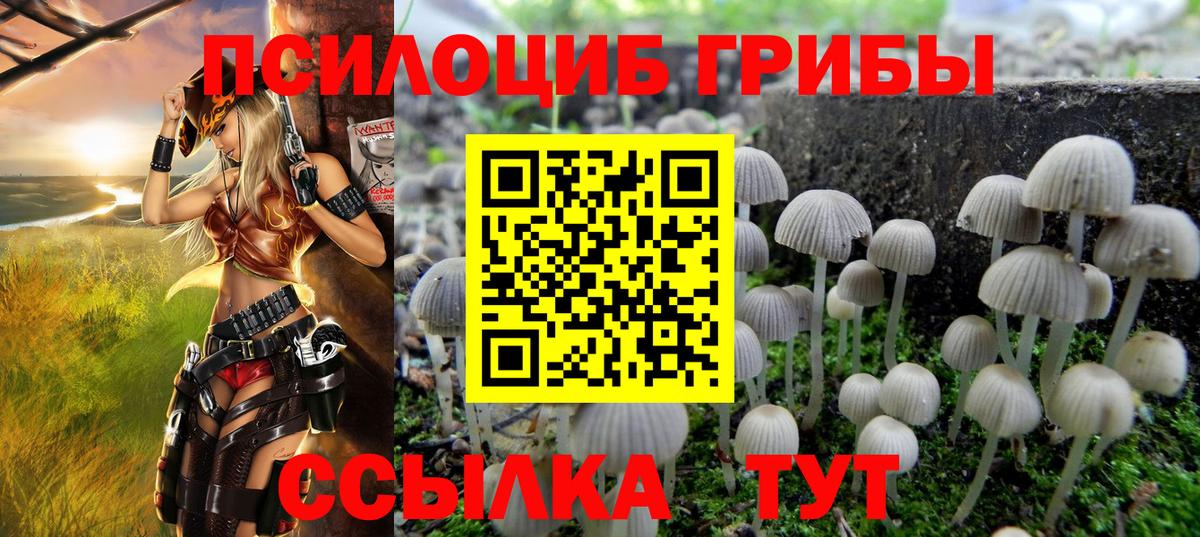Галлюциногенные грибы мицелий Дербент