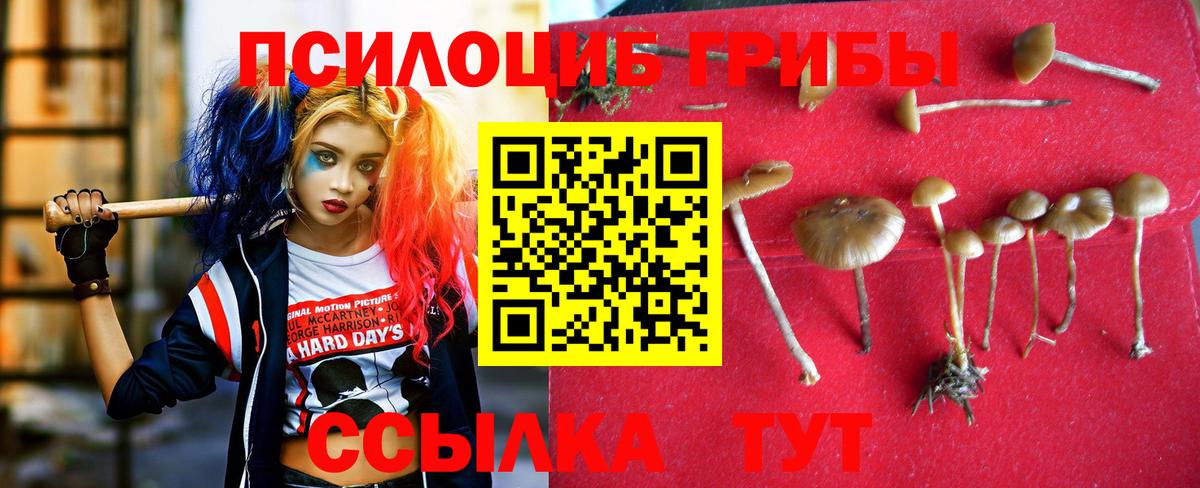 Дербент  как найти закладки  Вход с VPN  Псилоцибиновые грибы Psilocybe  Псилоцибиновые грибы мухоморы 
